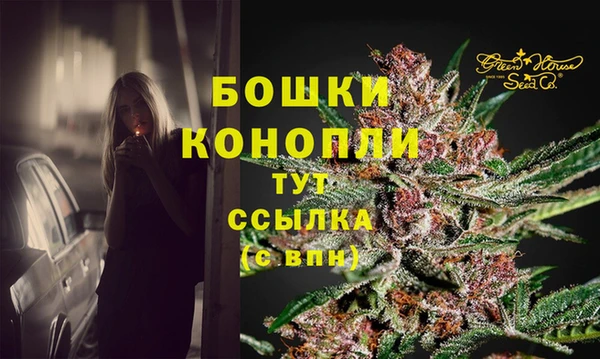 mdpv Богданович