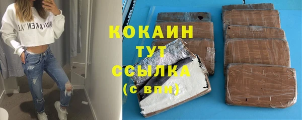 прущие грибы Богородск