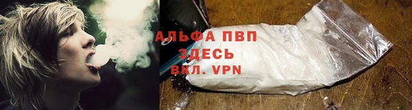 прущие грибы Богородск