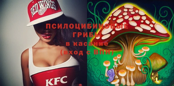прущие грибы Богородск