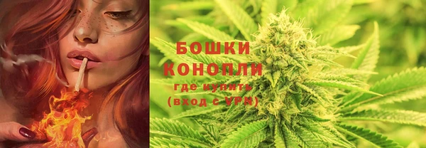 прущие грибы Богородск