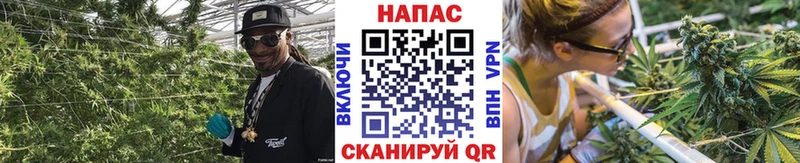 Канабис марихуана  продажа наркотиков  Ядрин 